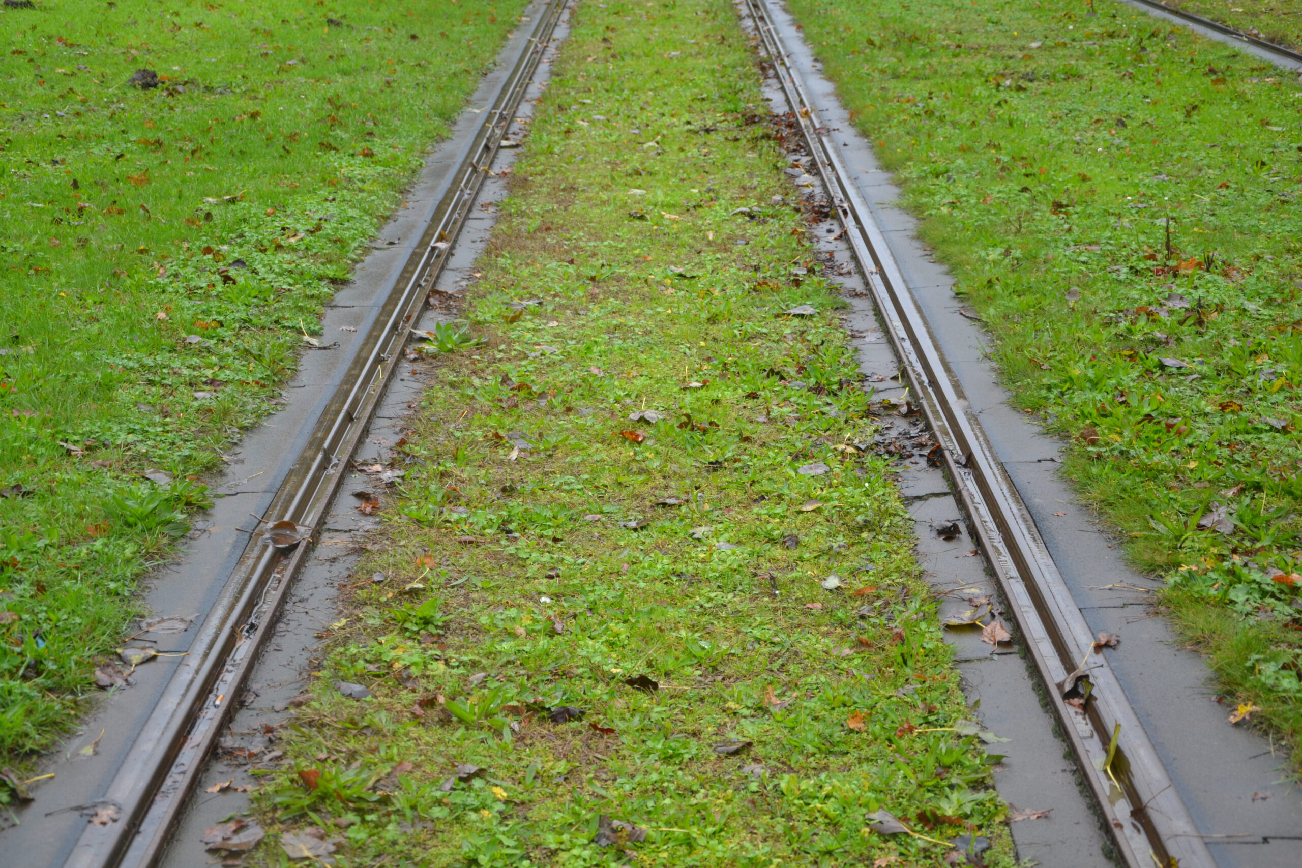 Duurzame spoorvernieuwing van lightrail in Den Haag